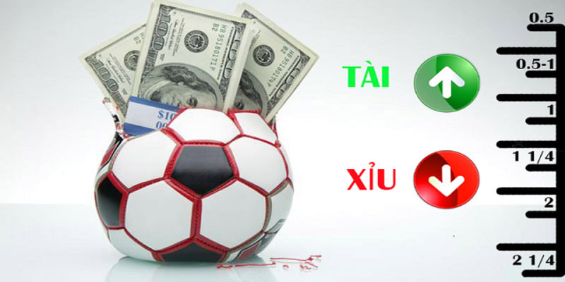 Thuật ngữ cá cược bóng cho cược thủ cá độ cần nên biết 2 Thuật ngữ ở kèo Tài xỉu