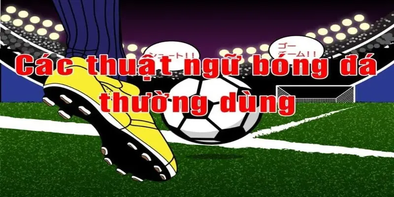 Thuật ngữ cá cược bóng cho cược thủ cá độ cần nên biết 4 Những thuật ngữ cá cược bóng đá thường dùng nhất