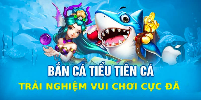 Tiểu Tiên Cá - Siêu Phẩm Bắn Cá Đổi Thưởng Phải Thử 2024 3 Tổng hợp 3 phòng chơi tại game bắn cá tiểu tiên cá