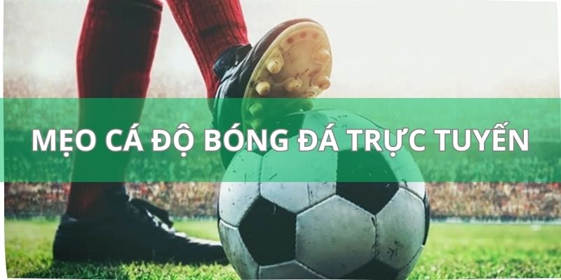 Cá Độ Bóng Bá Trực Tuyến Là Gì Và Có Những Ưu Điểm Ra Sao? 4 Mẹo cá độ bóng đá trực tuyến của các cao thủ