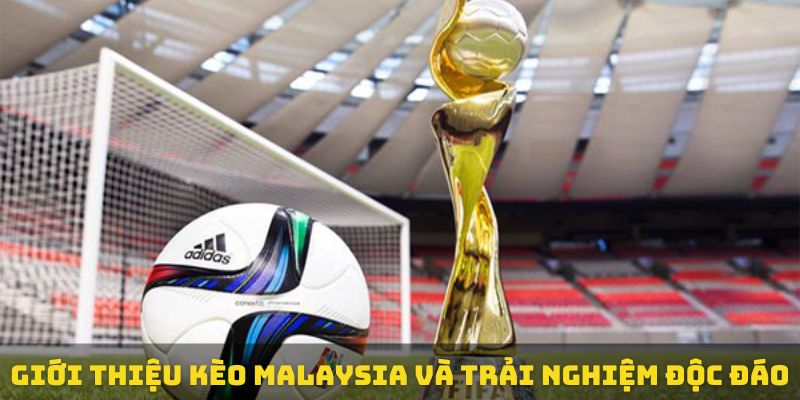 Kèo Mã Lai (Malaysia) - Giải Thích Chi Tiết Từ A đến Z Nhất 1 Khái niệm cơ bản về kèo Mã Lai (Malaysia)