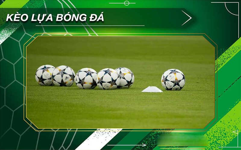 Kèo Lựa Là Sao? Tìm Hiểu Kèo Bóng Cho Người Mới Cá Cược 2 Kèo lựa là sao đối với kèo tài xỉu