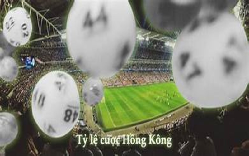 Tỷ Lệ Cược Hồng Kông: Tìm Hiểu Quy Tắc, Ứng Dụng Cá Cược 3 Chi tiết cách đọc tỷ lệ kèo hồng kông
