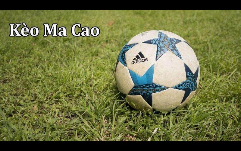 Tỷ Lệ Cá Cược Ma Cao: Cơ Hội Vàng Cho Người Đam Mê Cược 2 Tận dụng tỷ lệ cá cược Ma Cao để nâng cao chiến thắng