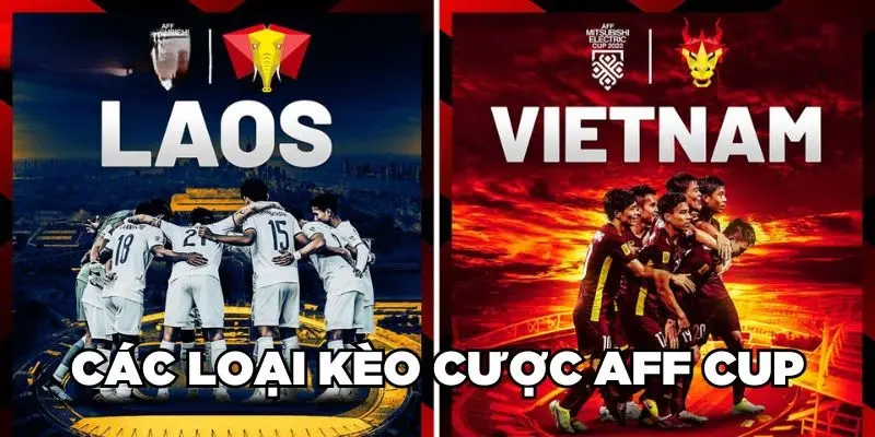 Bỏ Túi Chiến Lược Cá Cược AFF Cup Thông Minh, Thắng Lớn 2 Các loại kèo cược AFF Cup