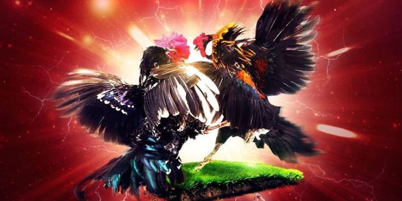 Đá Ăn 6 Là Gì? - Hé Lộ Trận Đấu Khiến Hội Viên Phát Sốt 3 Tận dụng khéo léo chiến lược gấp thếp vào mỗi trận đấu